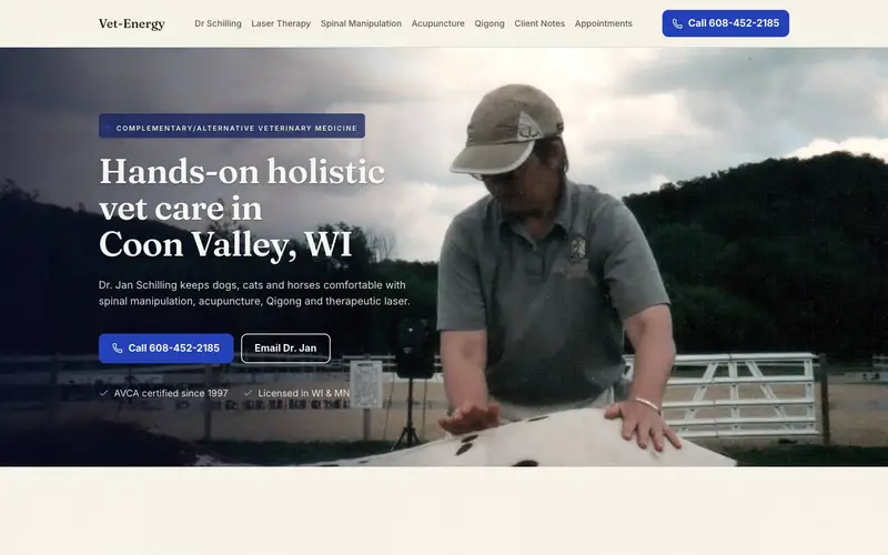 vet-energy.com after the rebuild